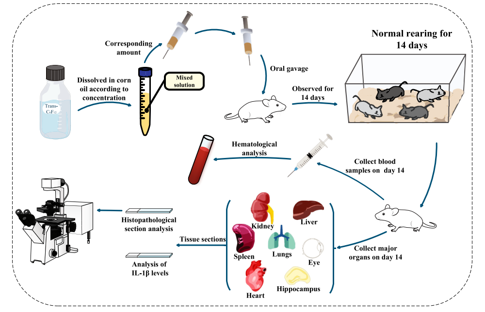 Graphical Abstract